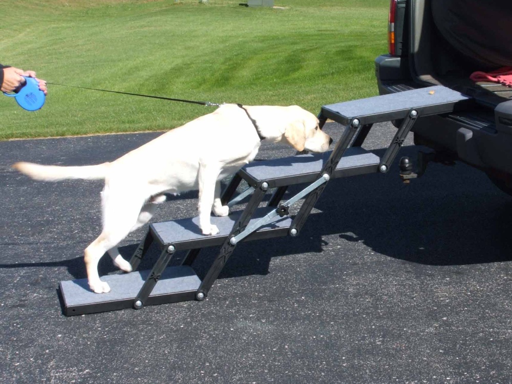tailgate ramp for dogs