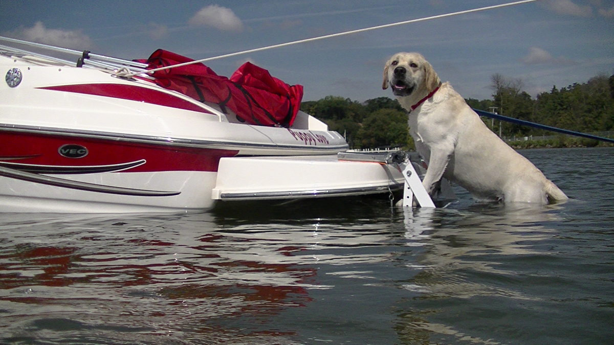 Roscoe and Pet Loader H2O